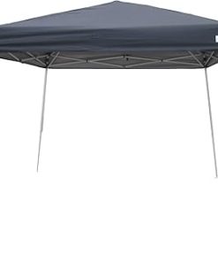 American Phoenix 10×10 Slant Leg Canopy Tent Lightweight Beach Tent 2