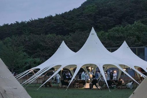 Portable Waterproof Tarp Shelter for Camping Adjustable Height 289㎡